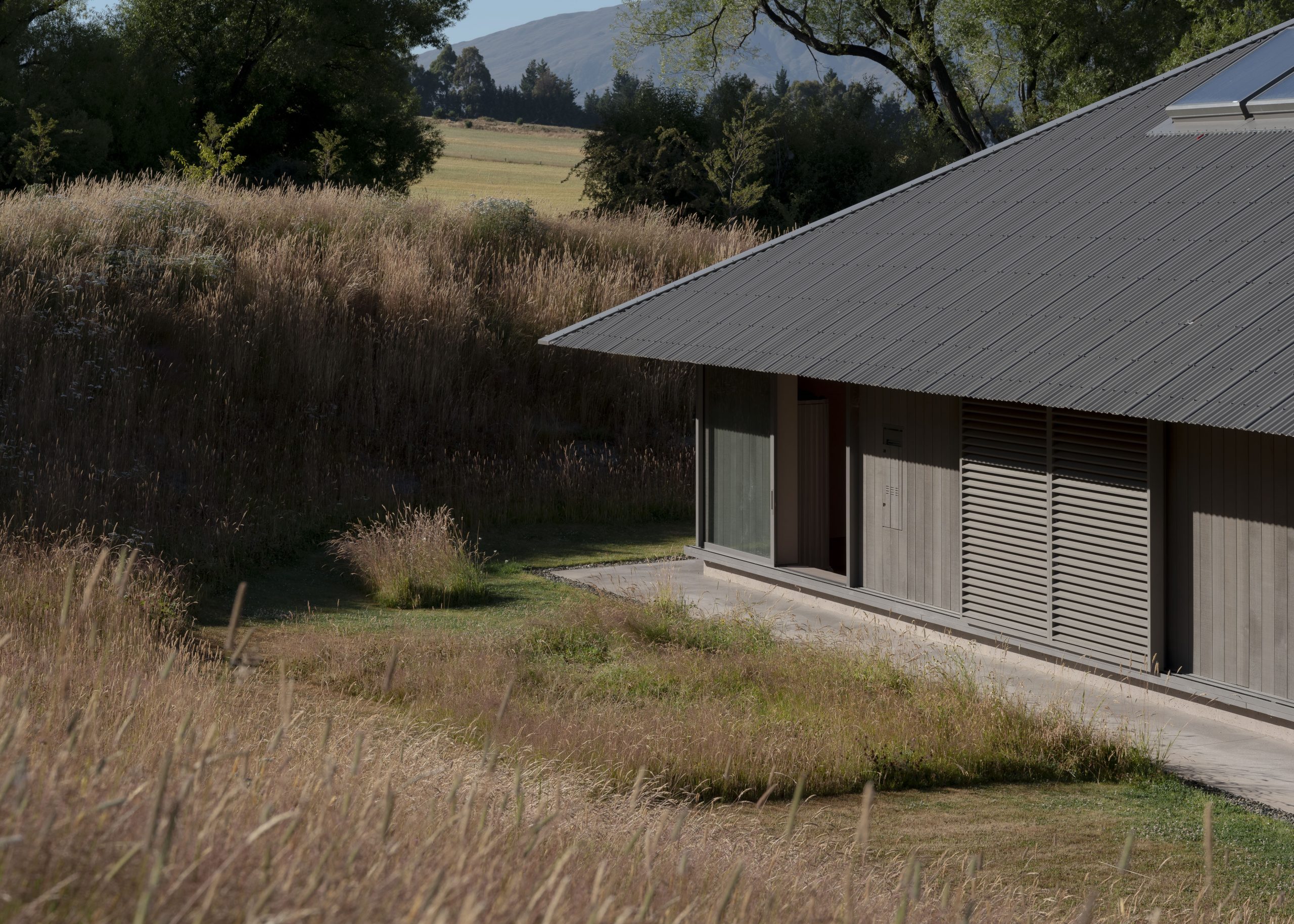 Openfield-House-January-2025-Biddi-Rowley-7366-scaled