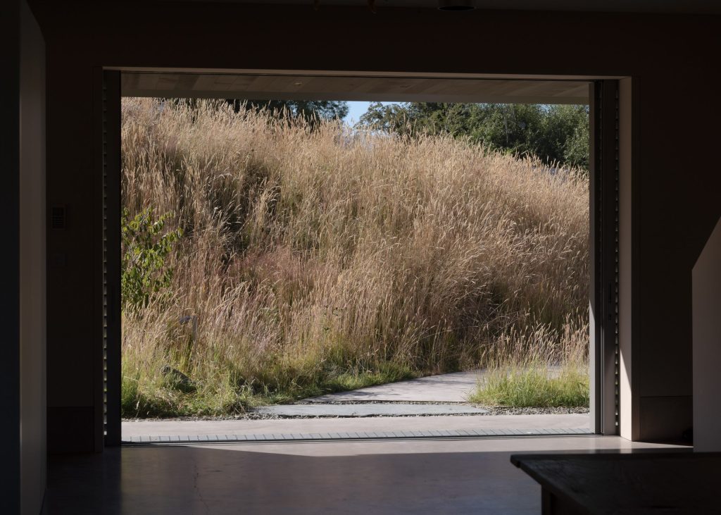 Openfield-House-January-2025-Biddi-Rowley-7402-scaled