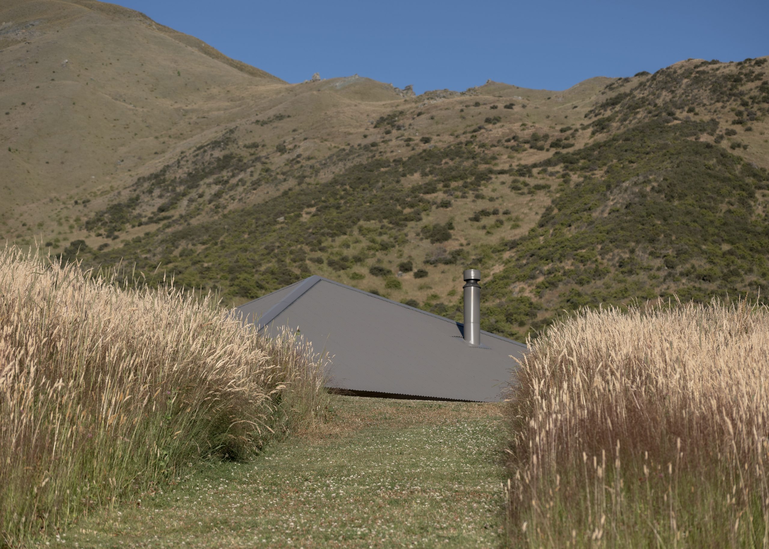 Openfield-House-January-2025-Biddi-Rowley-7728-scaled