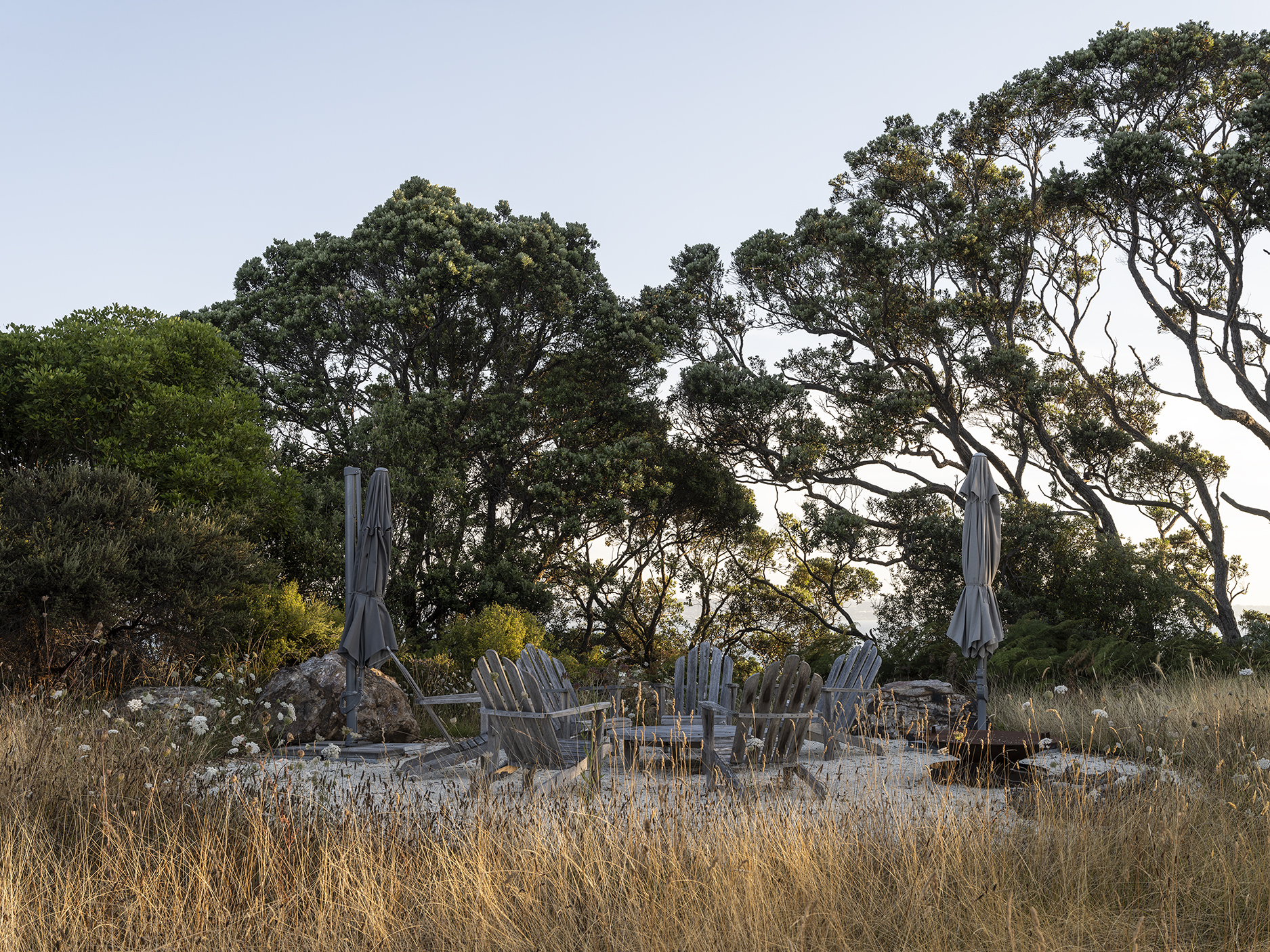 DST-JLD-WAIHEKE-0125-7836
