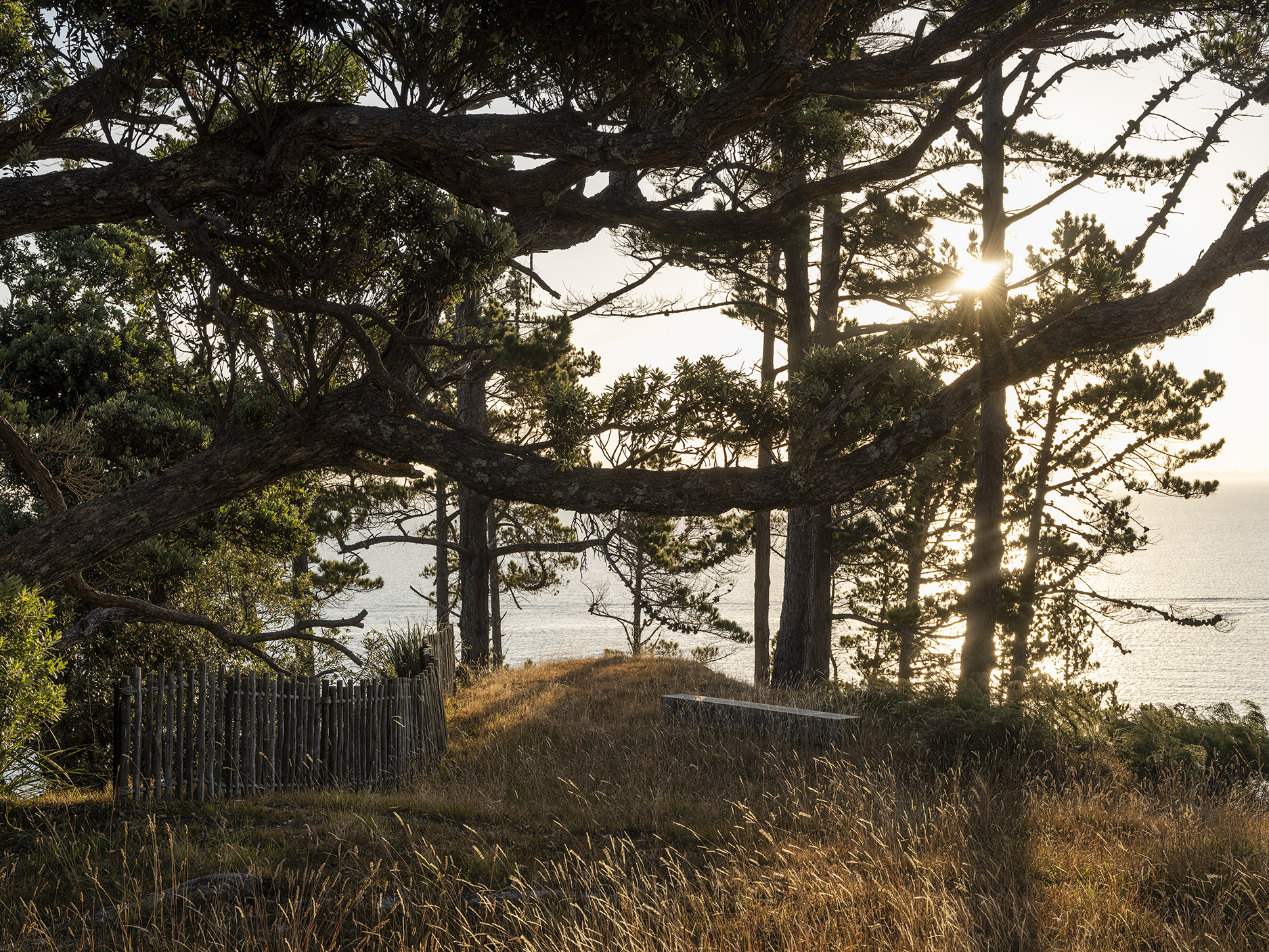 DST-JLD-WAIHEKE-0125-7842