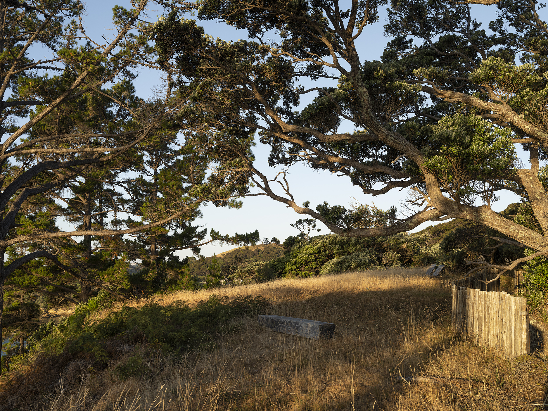 DST-JLD-WAIHEKE-0125-7849