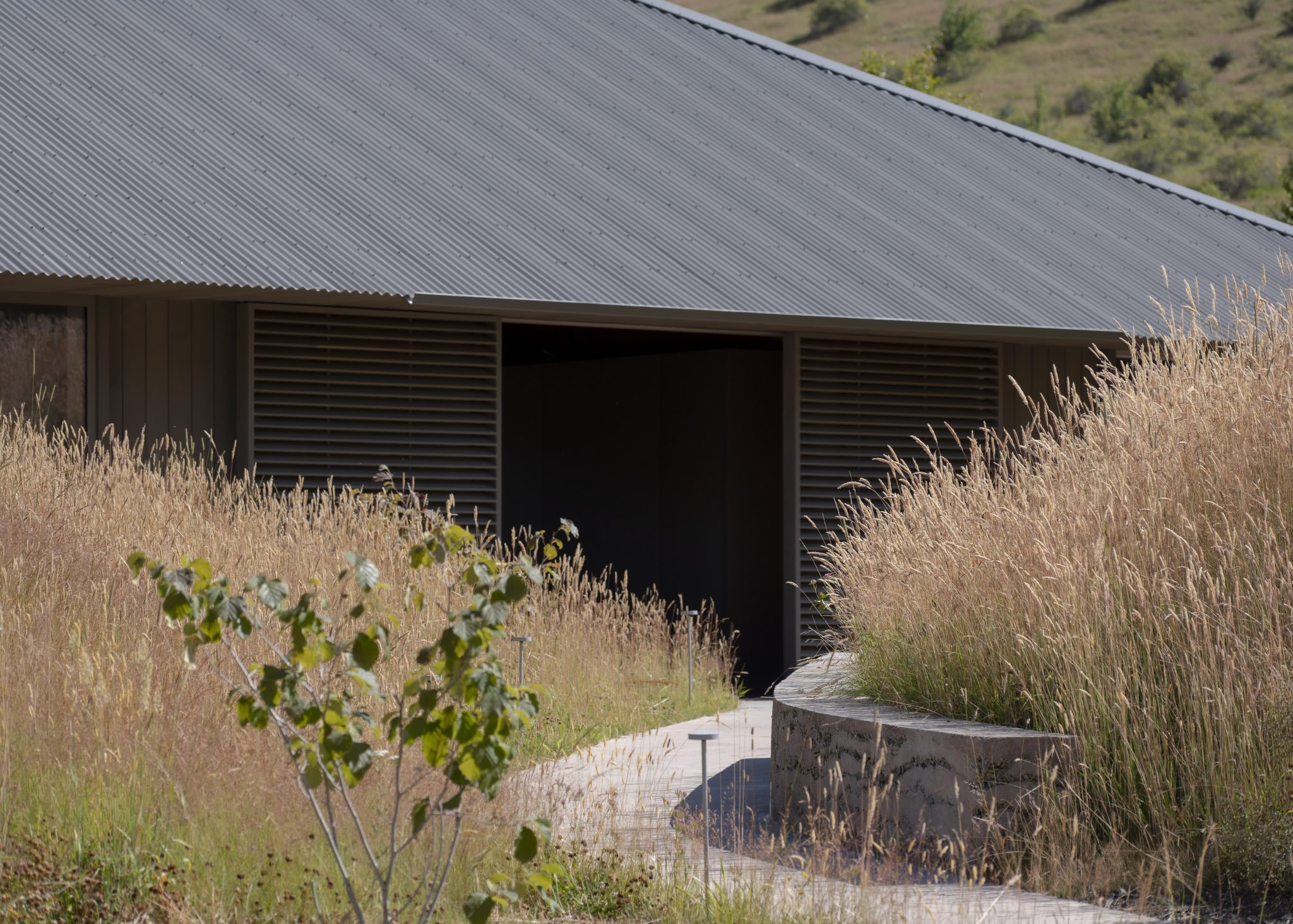 Openfield-House-January-2025-Biddi-Rowley-7518